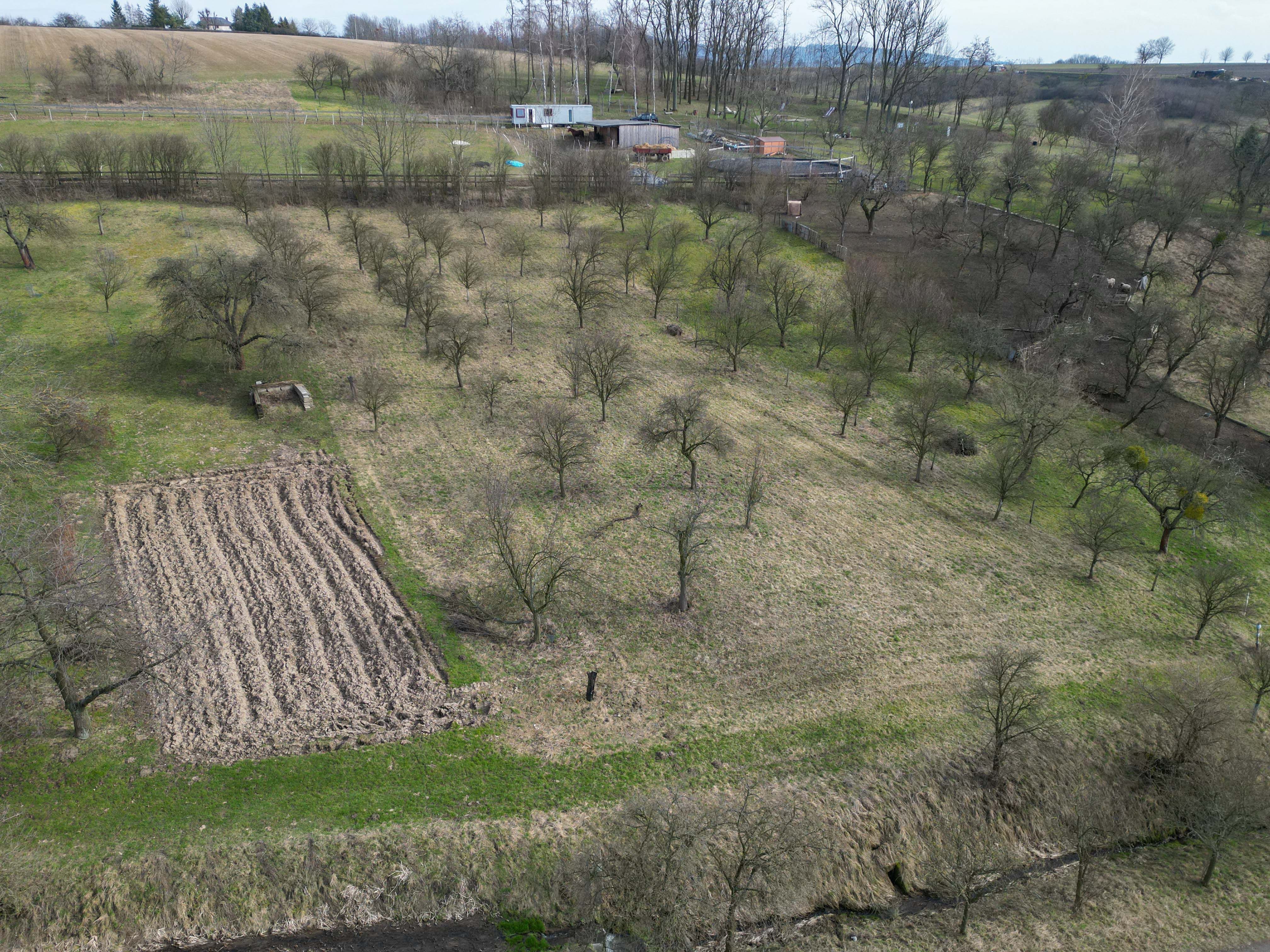 Prodej, Zahrada, Ovocný sad, 2.527m2, Bořenovice - titulní obrázek