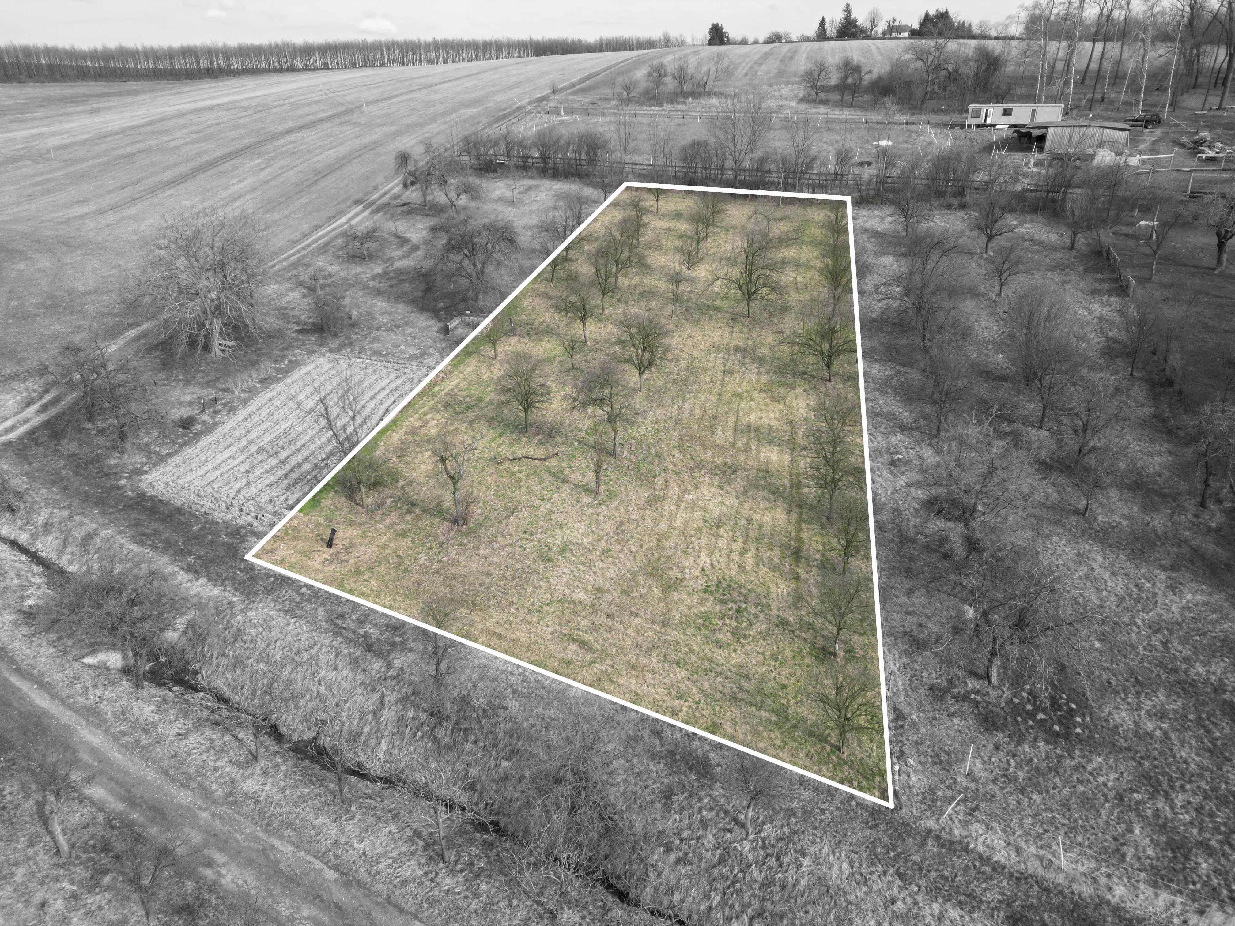 Prodej, Zahrada, Ovocný sad, 2.527m2, Bořenovice - obrázek č.2
