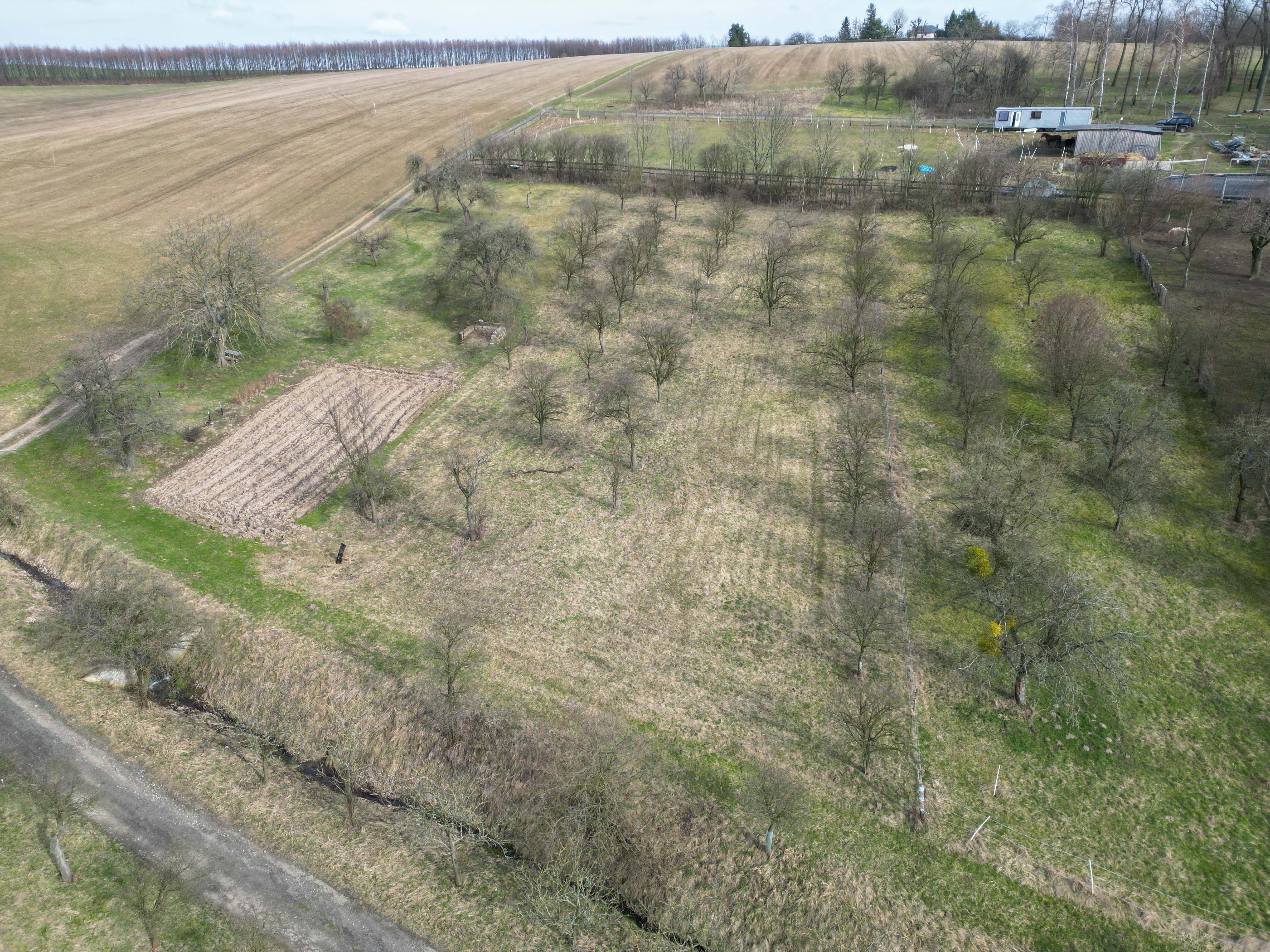 Prodej, Zahrada, Ovocný sad, 2.527m2, Bořenovice - obrázek č.3