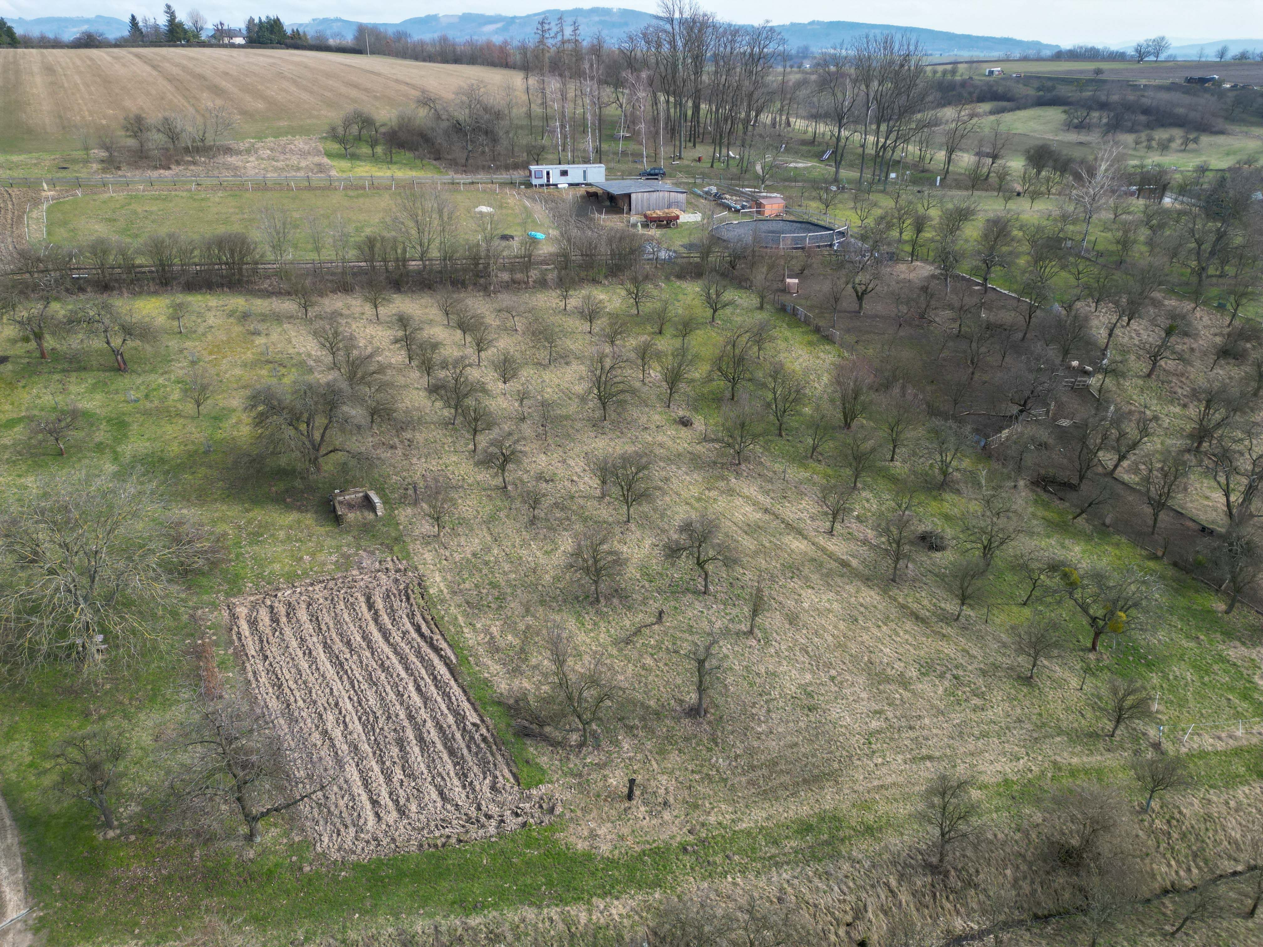 Prodej, Zahrada, Ovocný sad, 2.527m2, Bořenovice - obrázek č.4