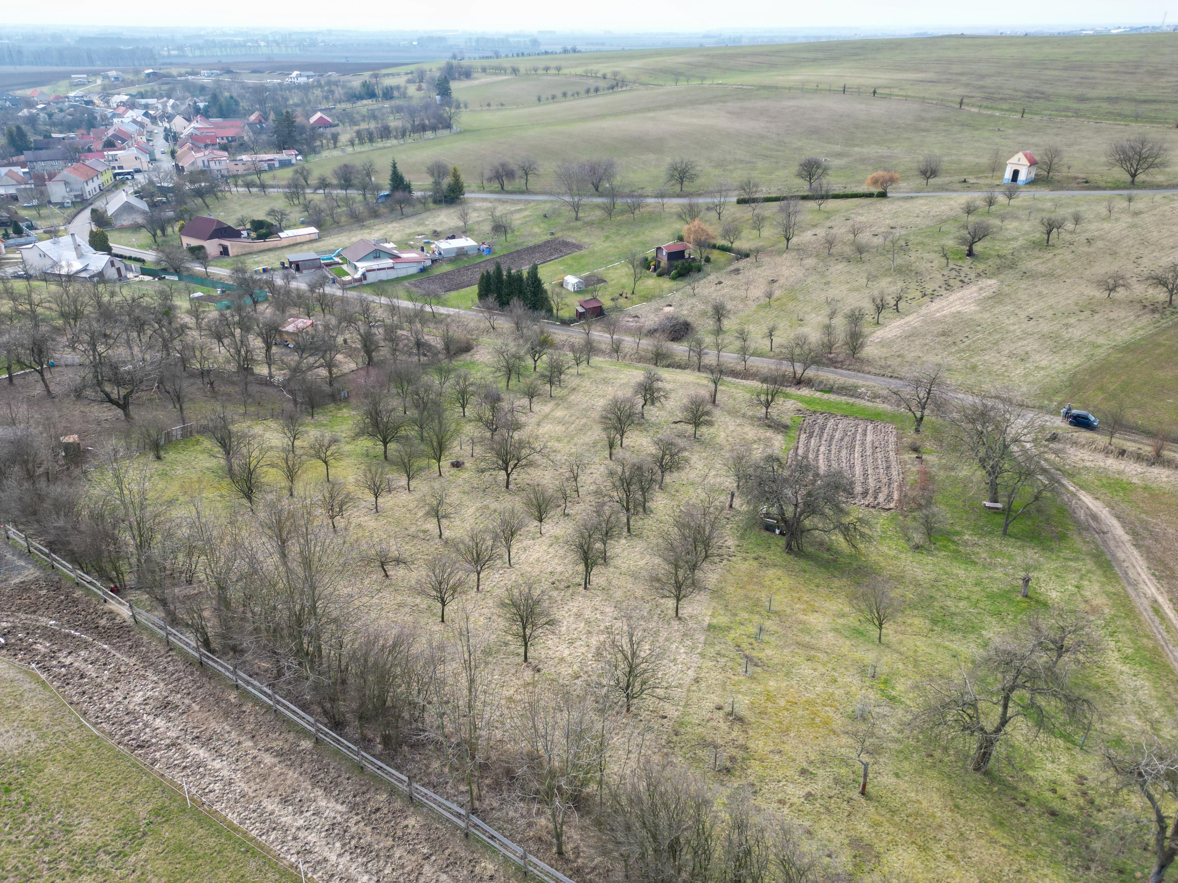 Prodej, Zahrada, Ovocný sad, 2.527m2, Bořenovice - obrázek č.5
