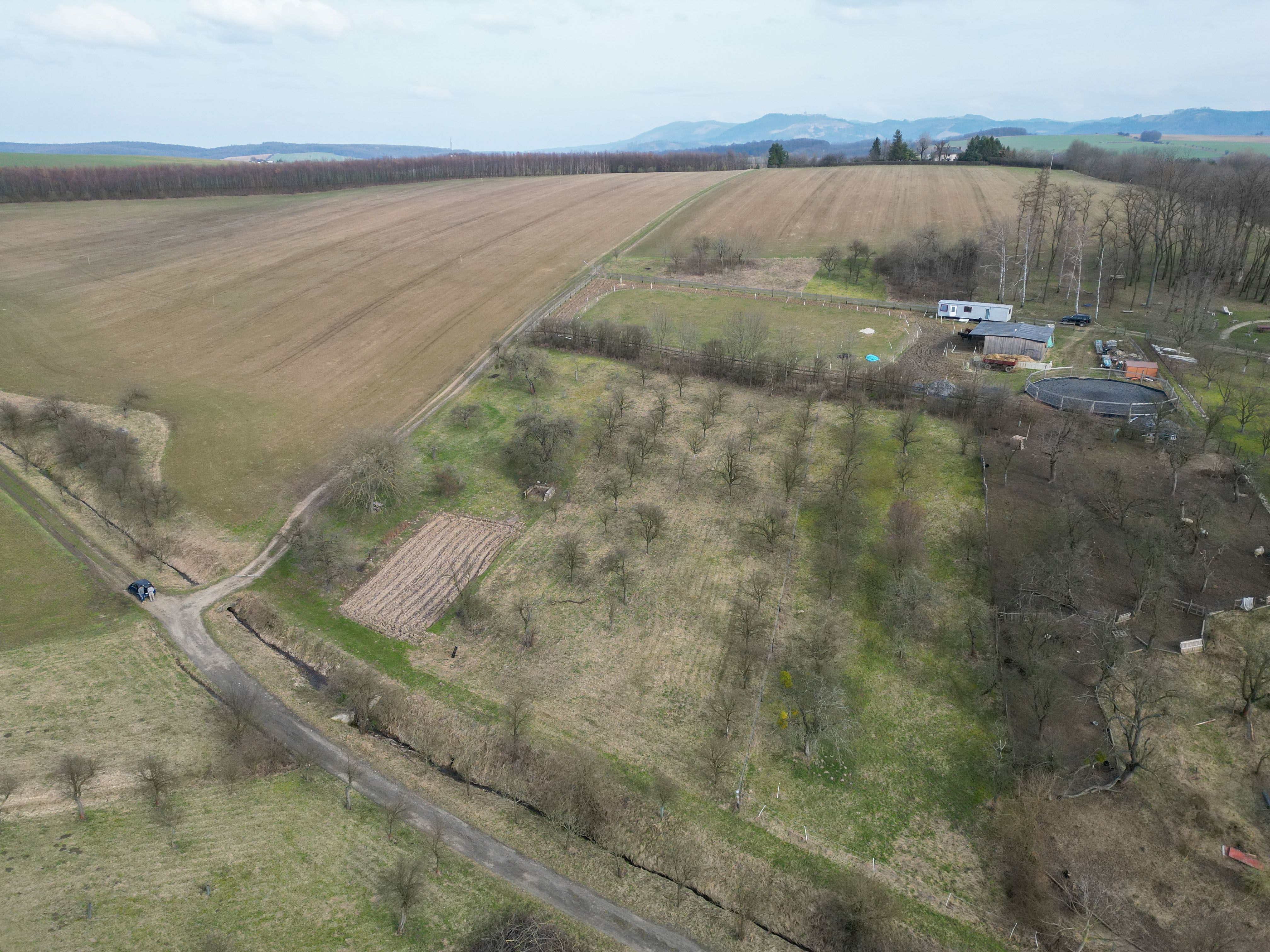 Prodej, Zahrada, Ovocný sad, 2.527m2, Bořenovice - obrázek č.6