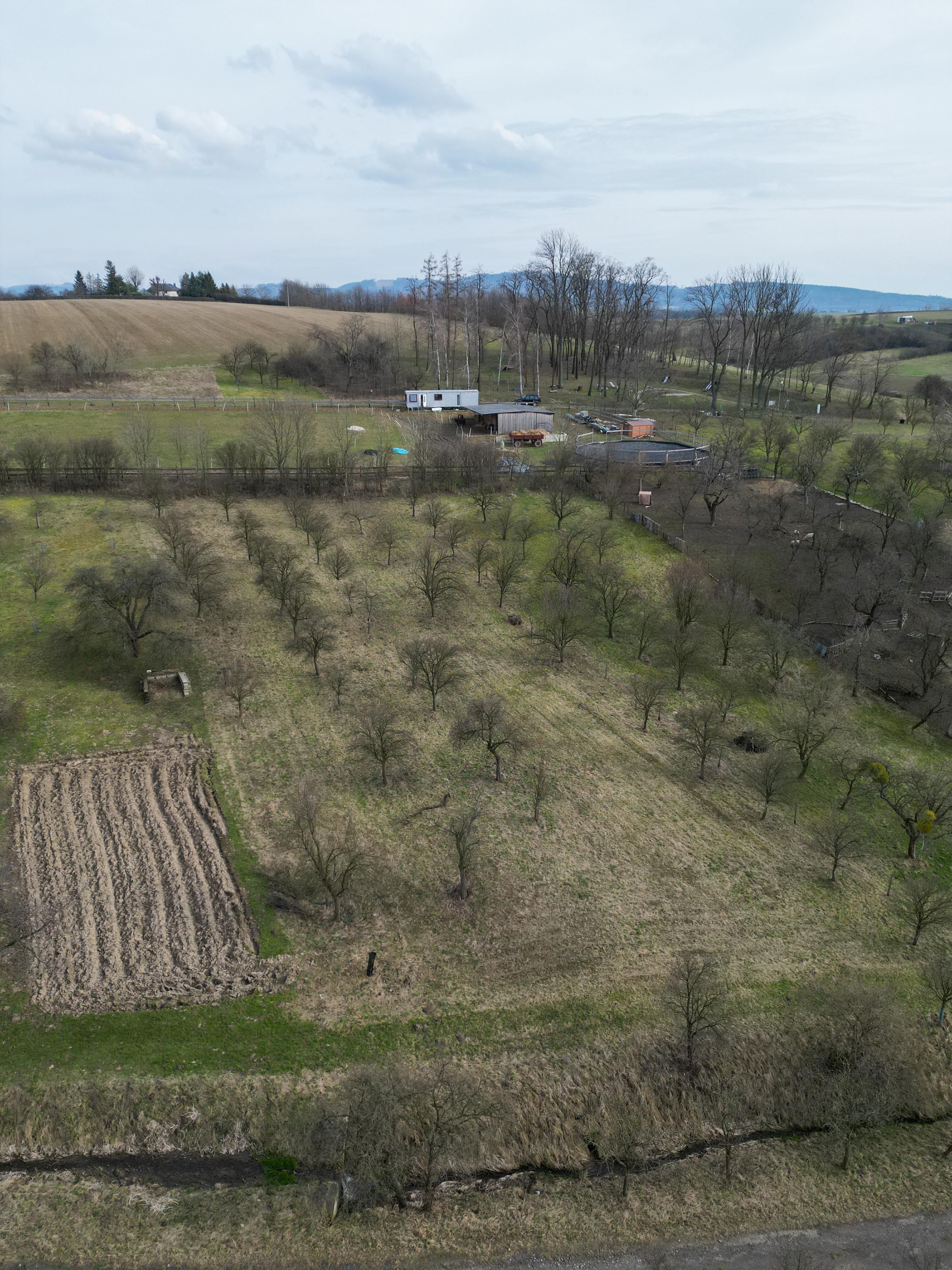 Prodej, Zahrada, Ovocný sad, 2.527m2, Bořenovice - obrázek č.7