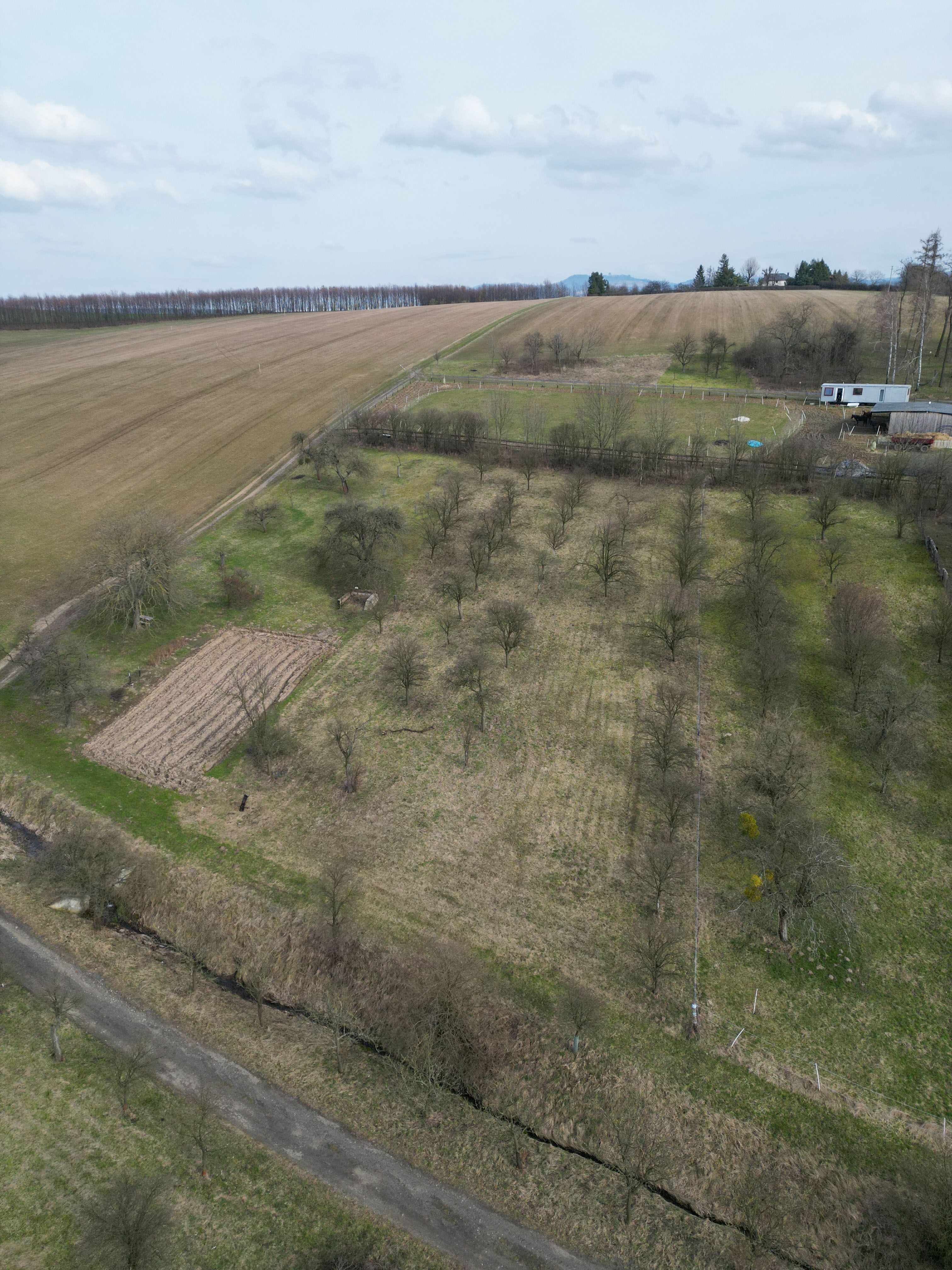 Prodej, Zahrada, Ovocný sad, 2.527m2, Bořenovice - obrázek č.8