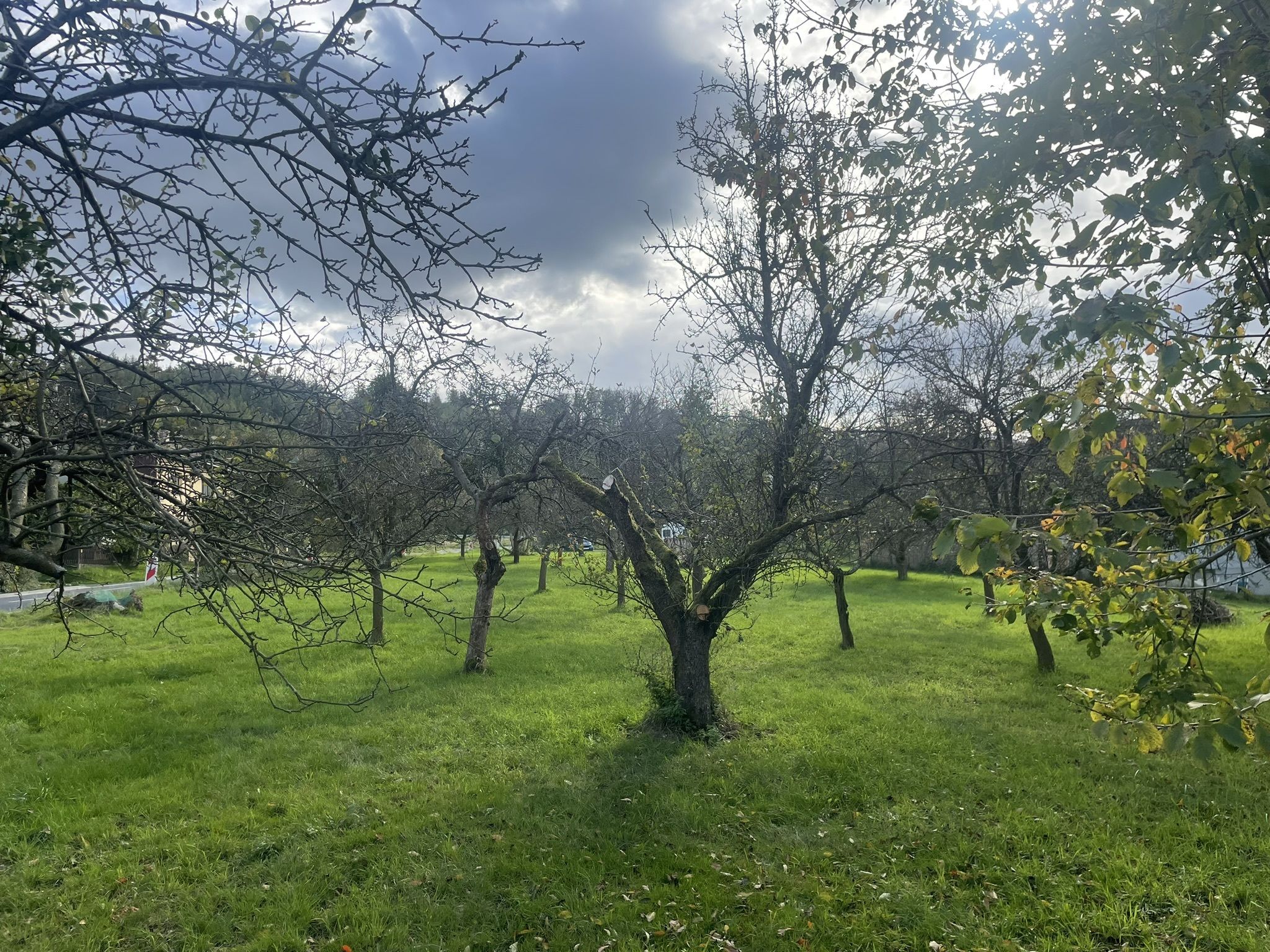 Prodej, Stavební pozemek, 900m2, Týn nad Bečvou - obrázek č.6