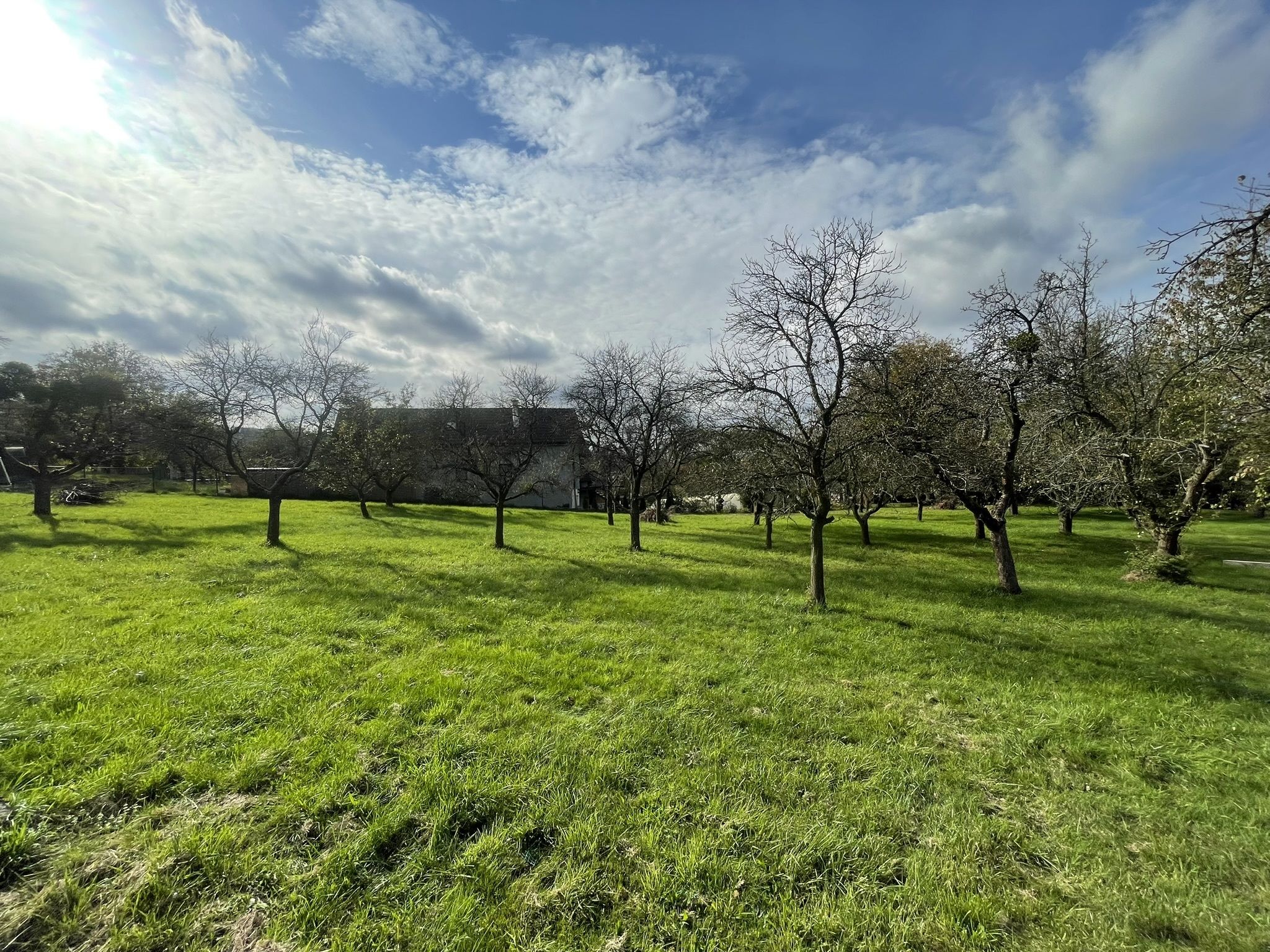 Prodej, Stavební pozemek, 900m2, Týn nad Bečvou - obrázek č.10