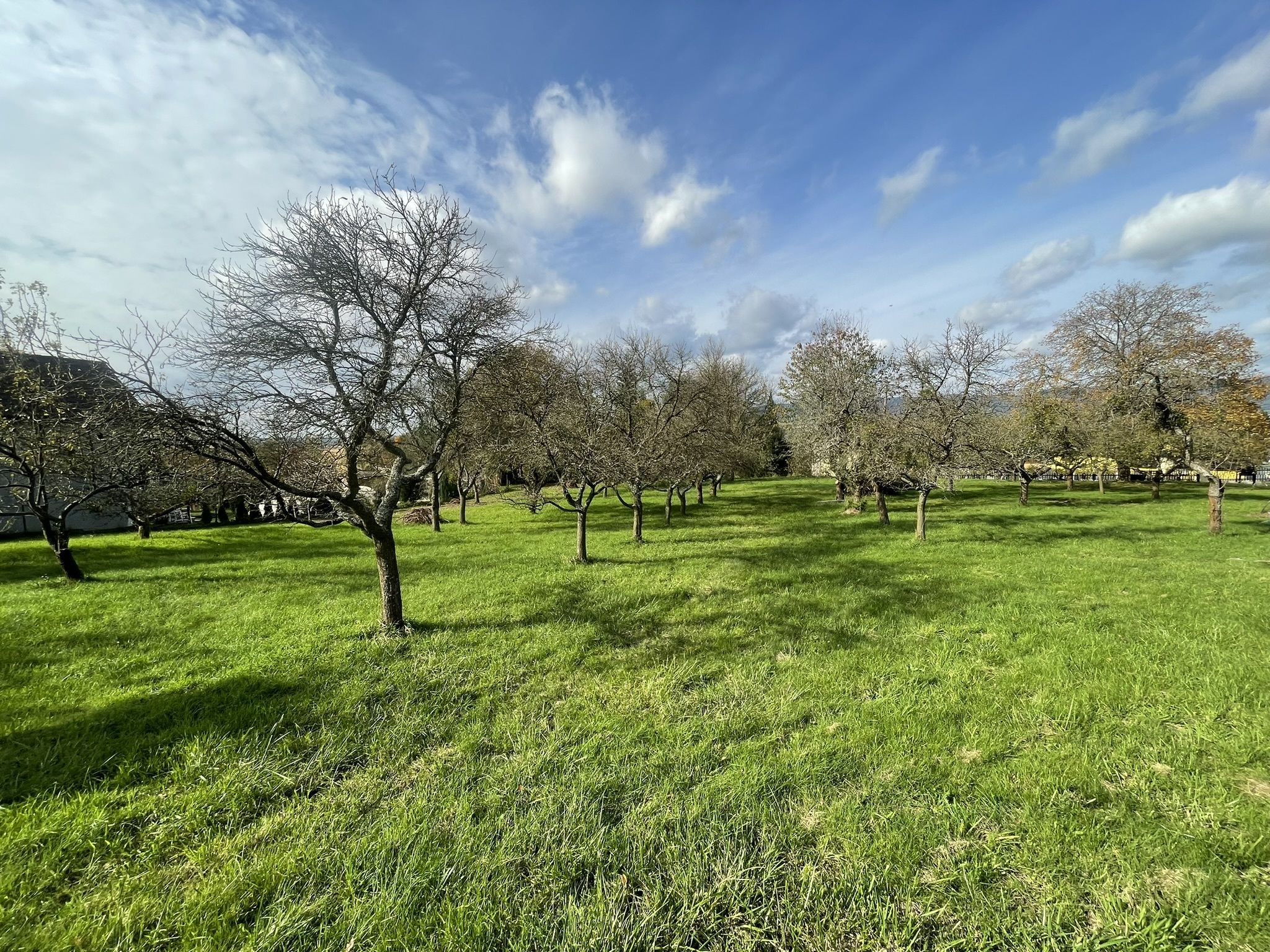 Prodej, Stavební pozemek, 900m2, Týn nad Bečvou - obrázek č.15