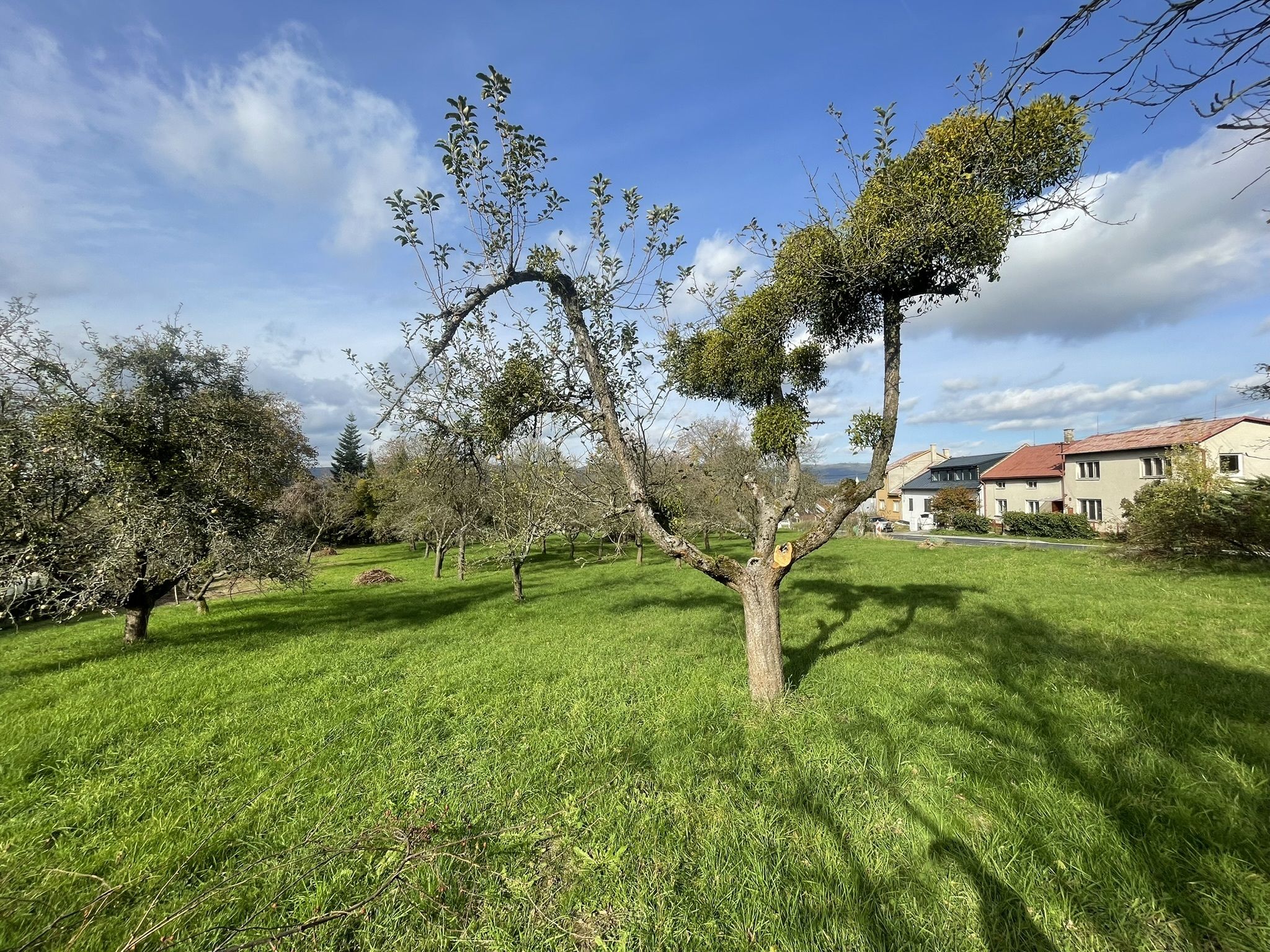Prodej, Stavební pozemek, 900m2, Týn nad Bečvou - obrázek č.20