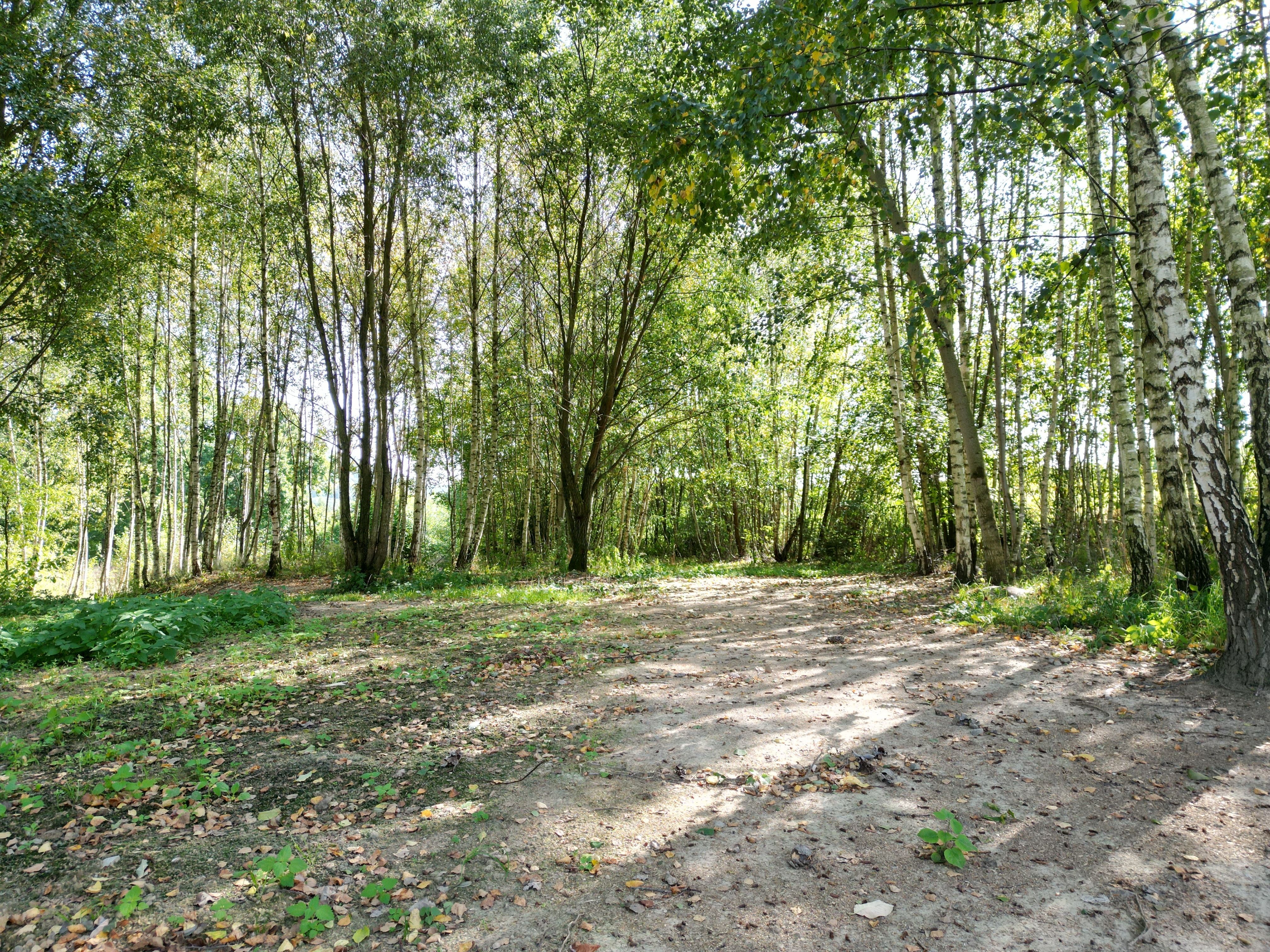 Prodej pozemku v Šumperku 2181 m² - obrázek č.6