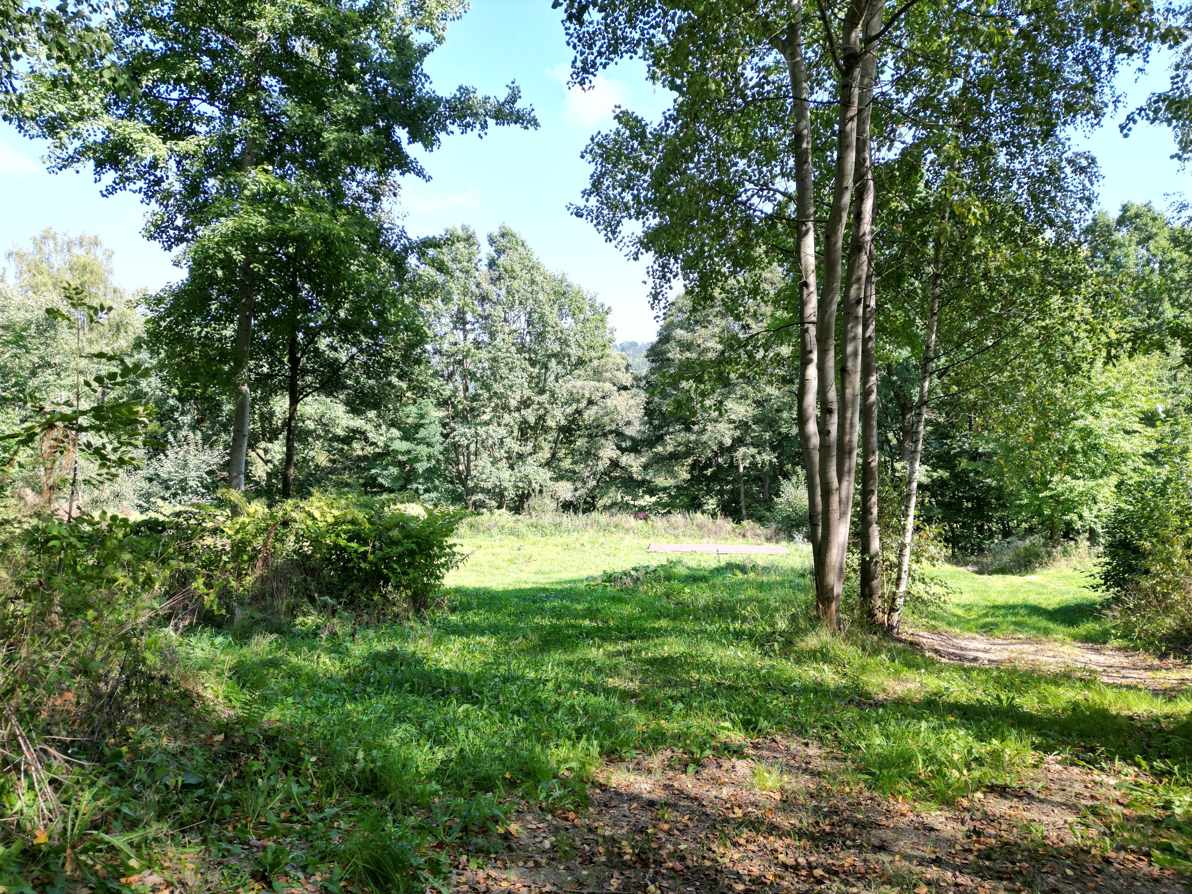 Prodej pozemku v Šumperku 2181 m² - obrázek č.7