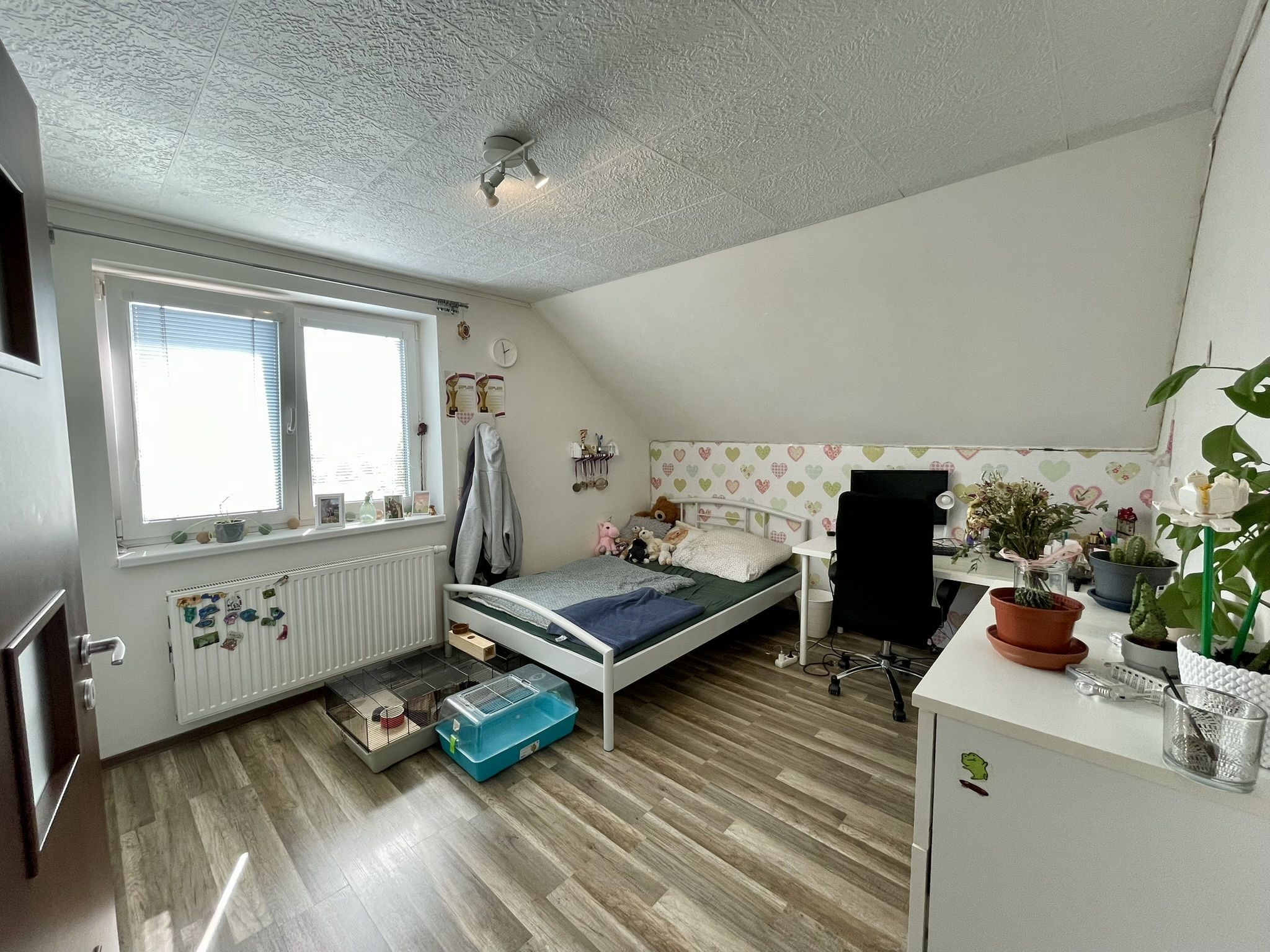 Prodej, Rodinný dům, 5+kk, garáž, 486m2, Dřevohostice - obrázek č.21