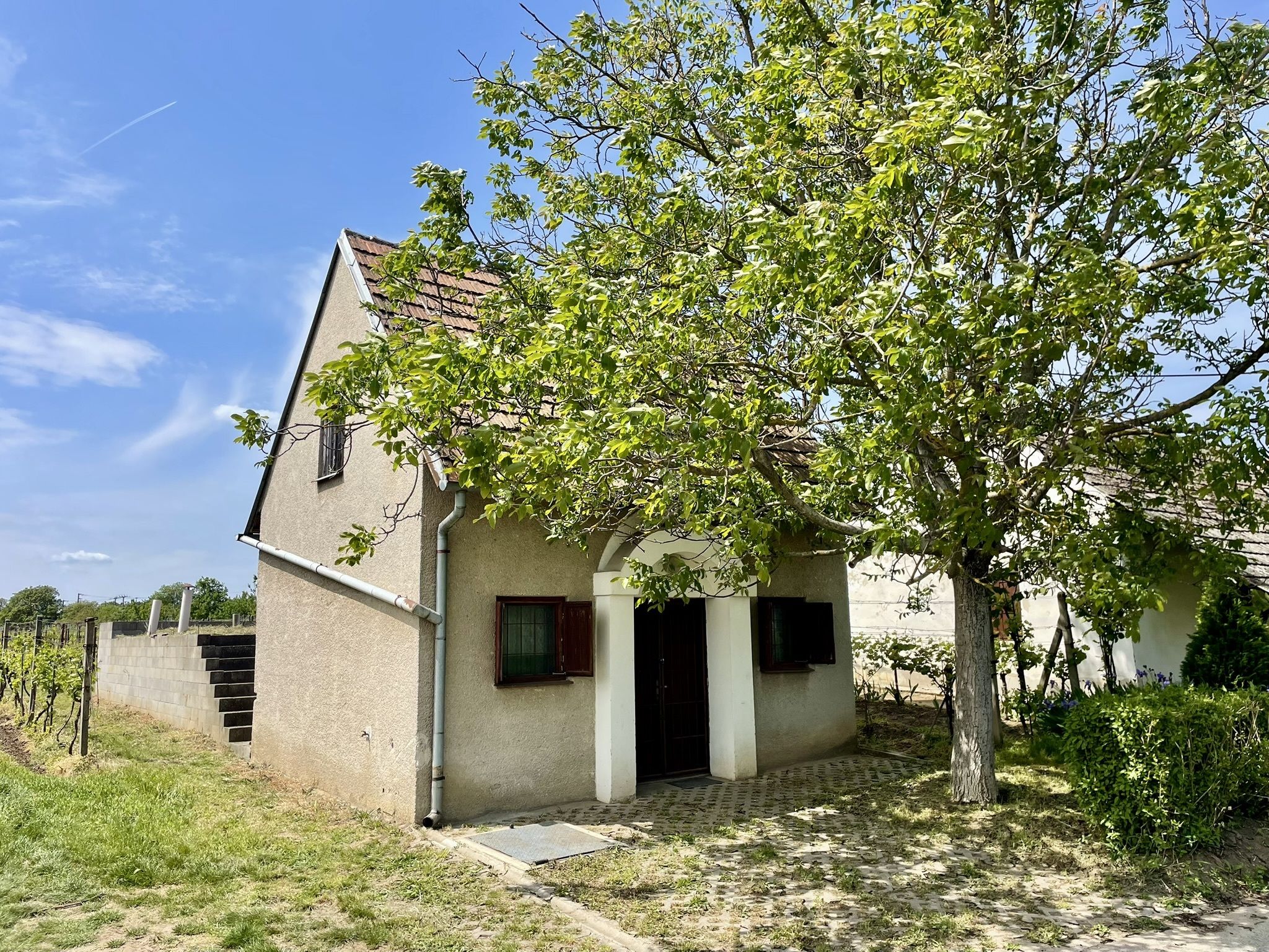 Prodej, Vinný sklep, 1755m2, Mikulčice - titulní obrázek