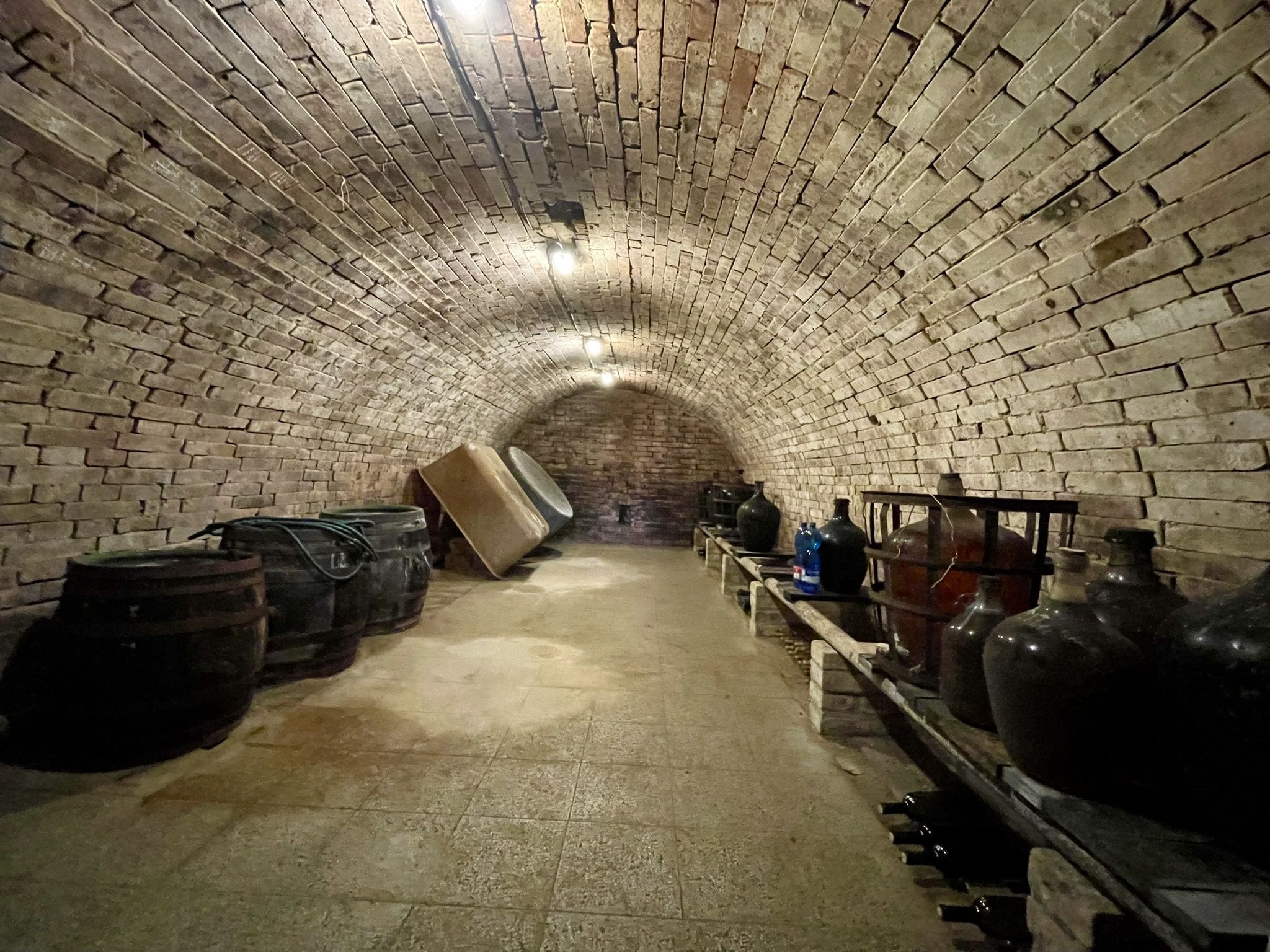 Prodej, Vinný sklep, 1755m2, Mikulčice - obrázek č.13