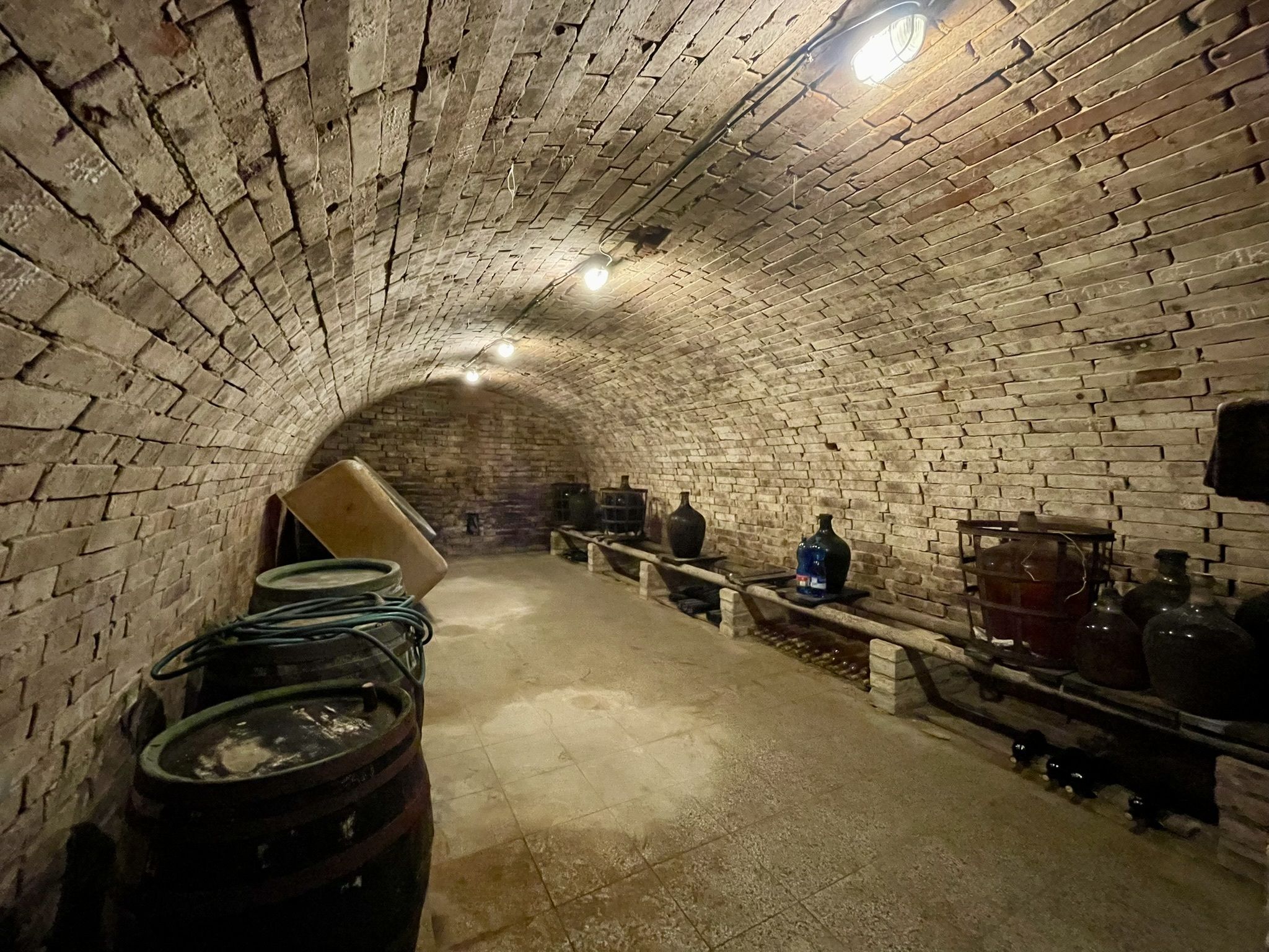 Prodej, Vinný sklep, 1755m2, Mikulčice - obrázek č.14