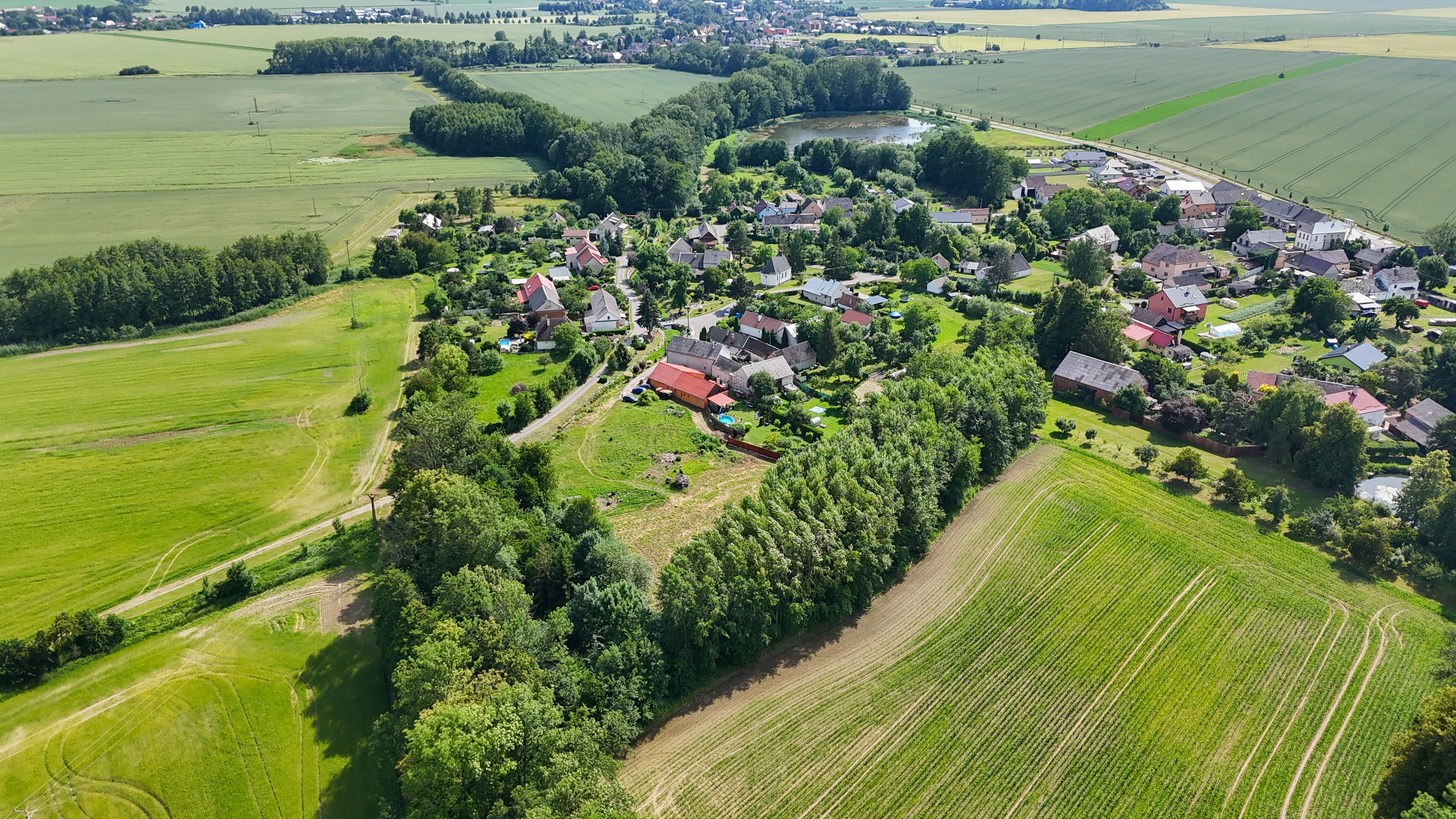 Stavební pozemek 6794 m² – Haukovice u Uničova - obrázek č.6