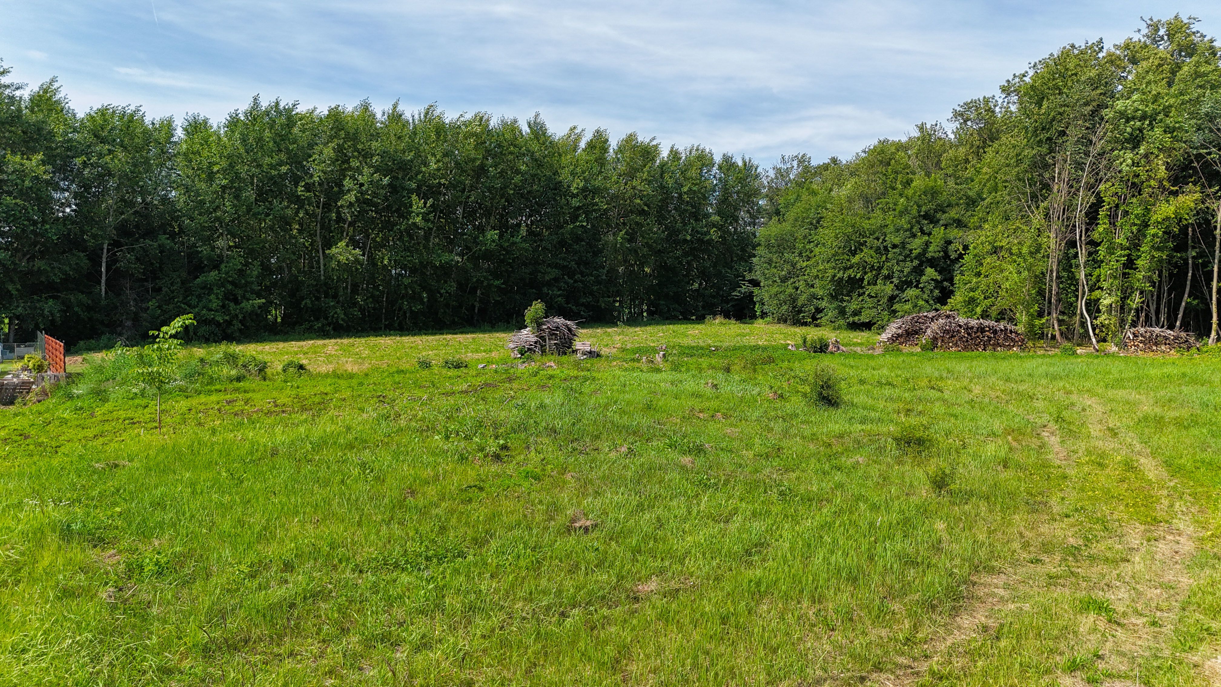 Stavební pozemek 6794 m² – Haukovice u Uničova - obrázek č.9