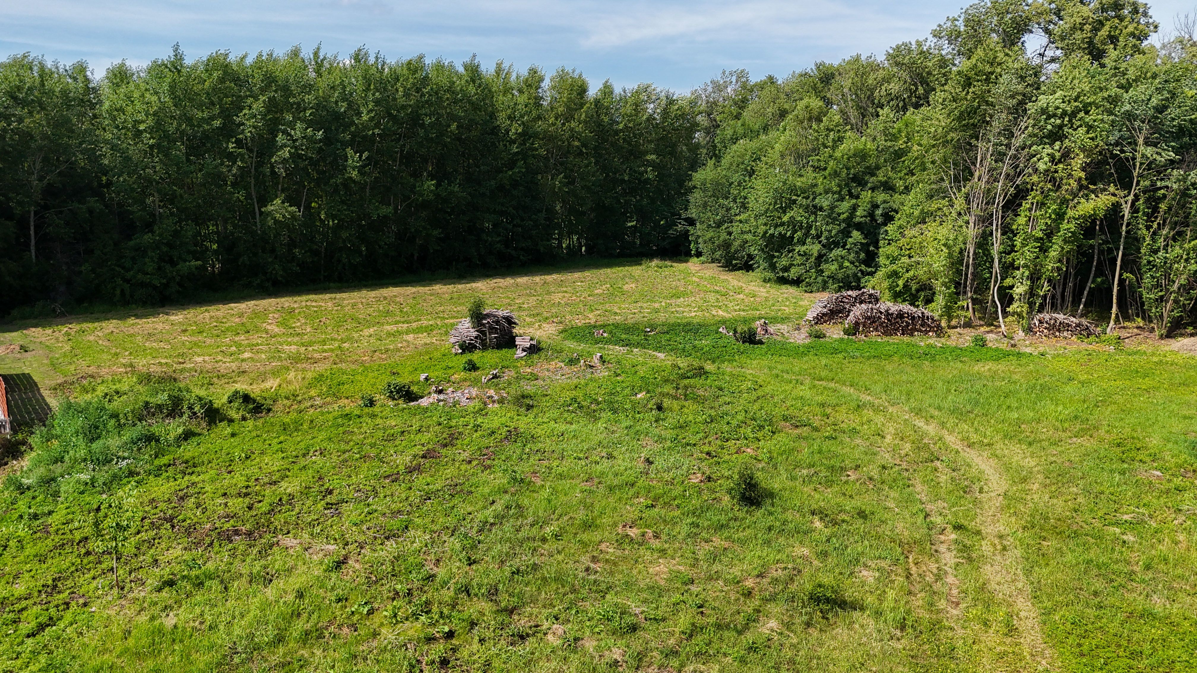 Stavební pozemek 6794 m² – Haukovice u Uničova - obrázek č.10
