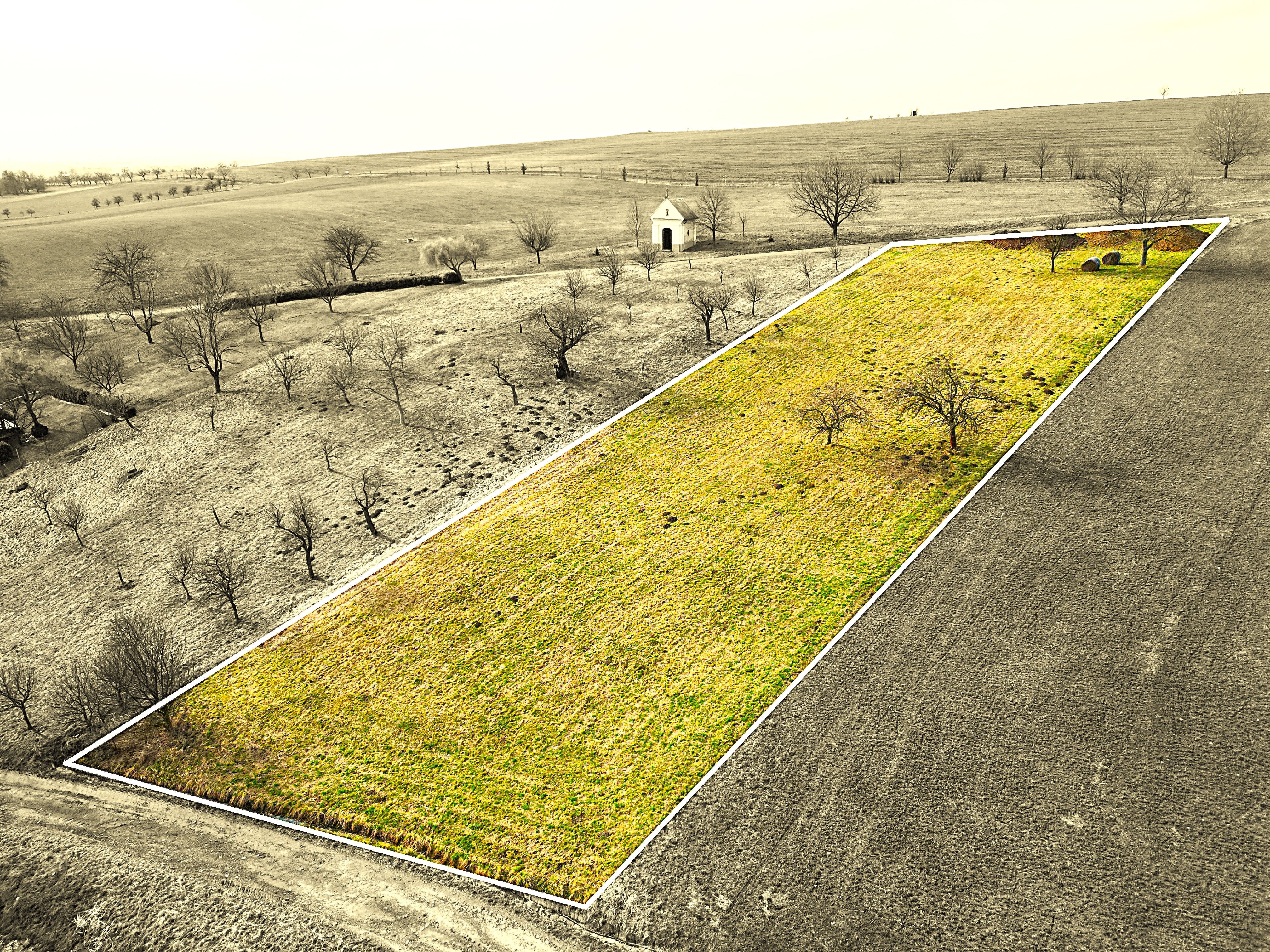 Prodej, Zahrada, 2.399m2, Bořenovice - titulní obrázek