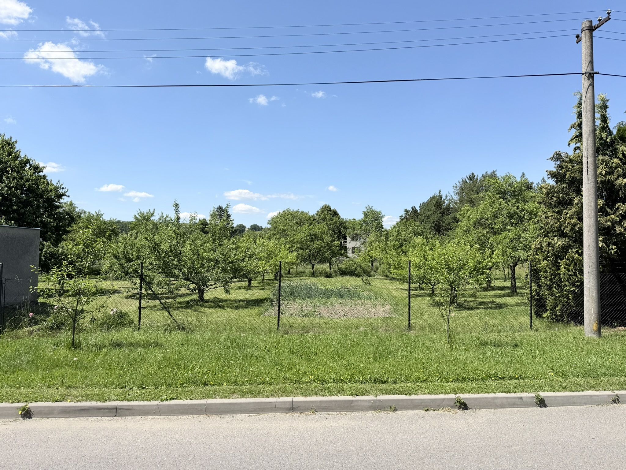 Prodej, Zahrada, 808m2, Jankovice - titulní obrázek